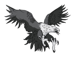 Vector Bald Eagle or Hawk Head Mascot Graphic