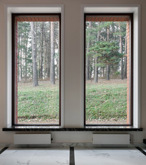 Interior of modern empty space with big windows