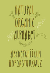 decorative vector alphabet and floral elements