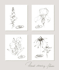 Flower collection of realistic sketches of flowers on cards. Vector illustration.