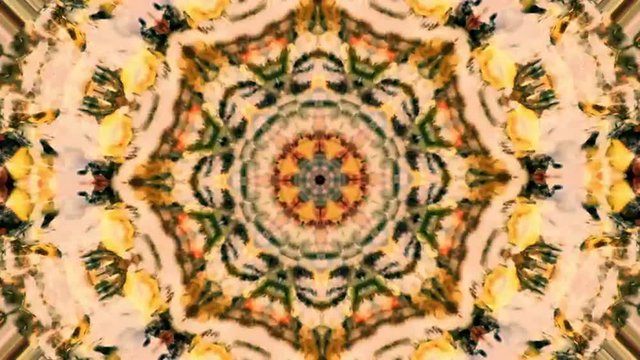 Fractal caleidoscopico abstracto basado en movimiento de fluido liquido