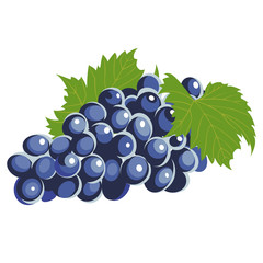grapes and a wine glass 