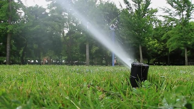 Boca de Riego por Aspersion Regando la hierba de un Parque