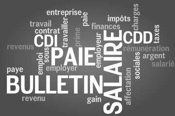Nuage de mots : Bulletin Paie