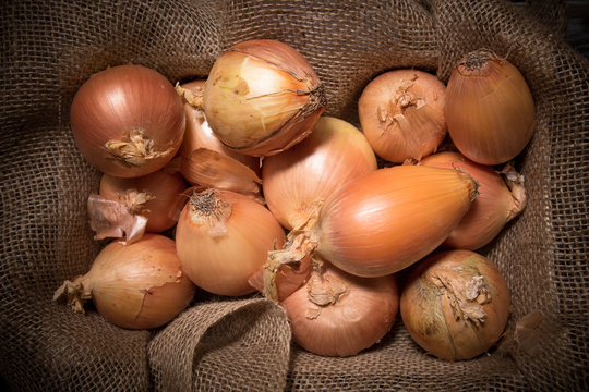 Burlap sack of yellow onions