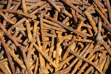 Rusty Nails in Sunlight