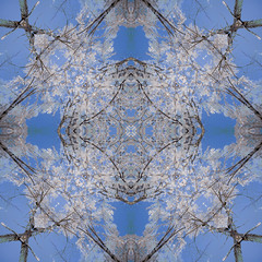 Decorative pattern, interlaced lines, the combination of fragmen