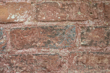 Empty red brick wall background