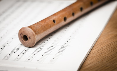 Wooden recorder and notes - 97117298