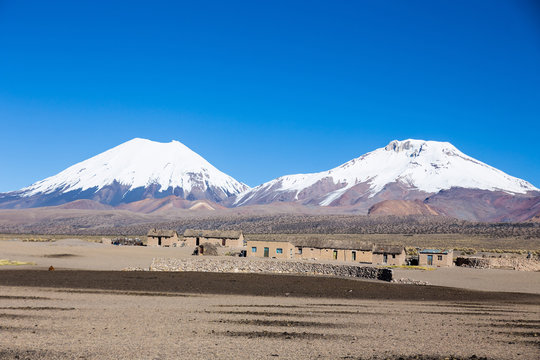 Parinacota and Pomerade volcanos. High Andean landscape in the A