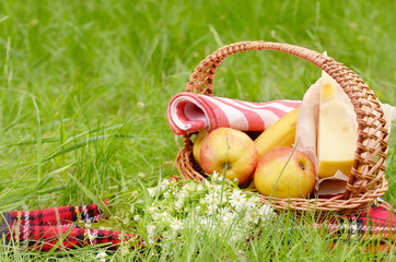 Picnic basket
