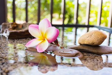 Naklejka na ściany i meble plumeria or frangipani decorated on water and pebble rock in zen
