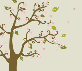 Eastern nature cherry blossom tree. flowers China, Japan. vector illustration