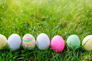Easter eggs in green grass, easter concept