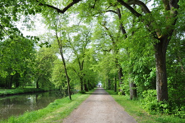 Schlosspark in Hildburghausen
