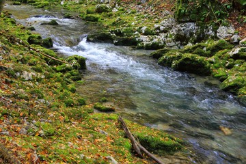 Wild creek in fall
