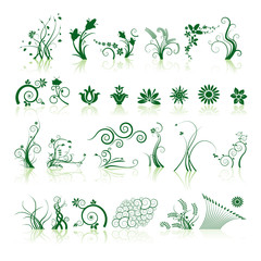 Floral elements in various styles with reflections