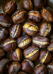 Roasted edible chestnuts