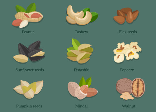 Set Natural Walnut Grain Flat Design