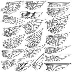 Big Set sketches of wings