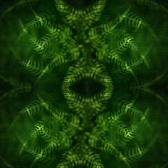 Decorative pattern, interlaced lines, the combination of fragments of images of fern.