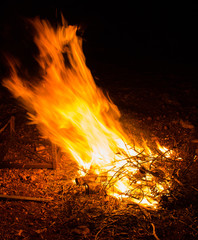 A campfire at night.