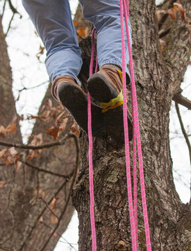 Rope Climbing in a Tree