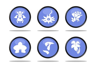 flowers icon set