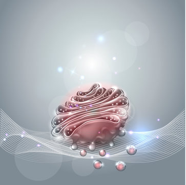 Golgi apparatus abstract background
