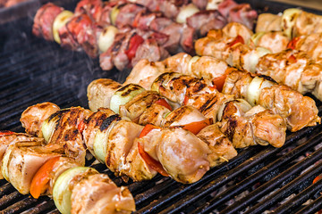 Skewers on the grill 1