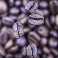 falling coffee beans closeup