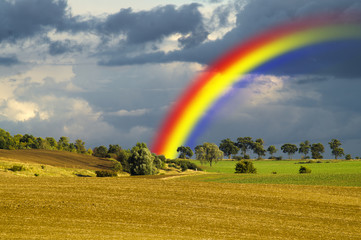 Rainbow over the autumn  field