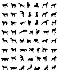 Different black silhouettes of dogs, vector - obrazy, fototapety, plakaty