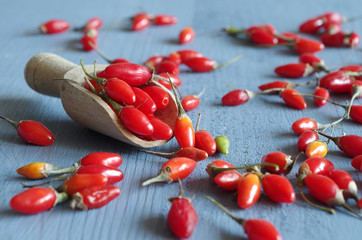 goji beeren