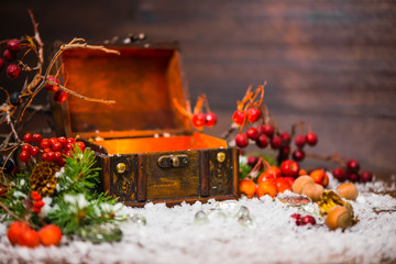 Christmas winter fairy with light miracle in opened chest. Backg