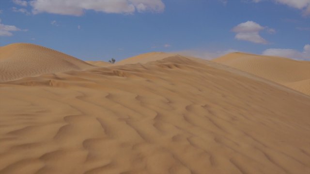 Sahara Landscape, Dunes and Wind