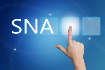 Systems Network Architecture