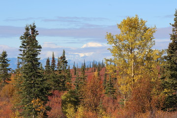 Alaska im Herbst