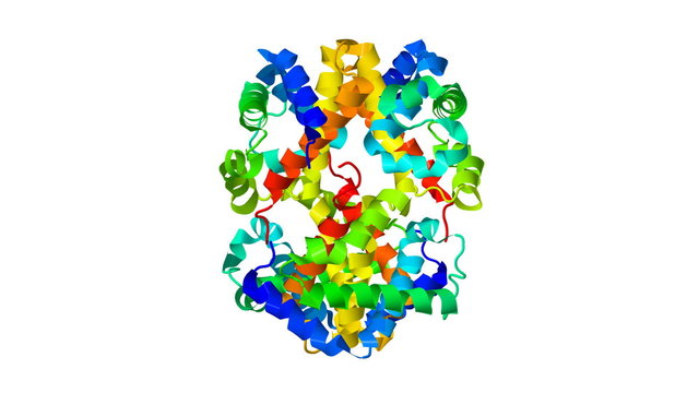 Haemoglobin molecule chemical model rotating on white background; Hemoglobin is the oxygen transporting protein in red blood cells of all vertebraes
