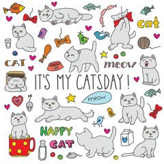 Cute grey cats on the background of food and accessories with messages "It's my catsday", "meow" etc. Doodle vector illustration.