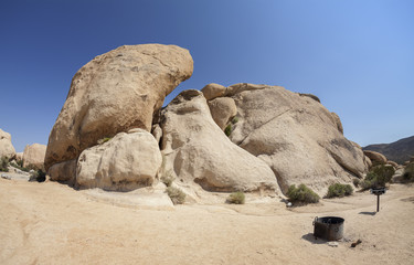 Fototapeta na wymiar Resting place in Joshua Tree National Park, California, USA