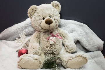 teddy sitting on a blanket in the snow