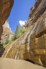 Virgin River Narrows in Zion National Park, Utah, USA