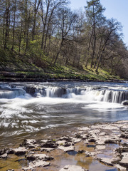 Fototapeta premium Aysgarth Falls, Wensledale, Yorkshire Dales, Yorkshire, UK