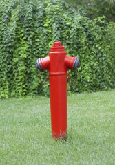 Fototapeta na wymiar Red fire hydrant against a green lawn photo