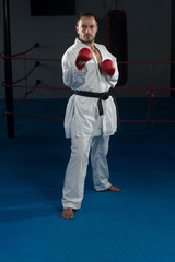 White Karate Fighter