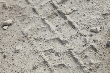 tire track