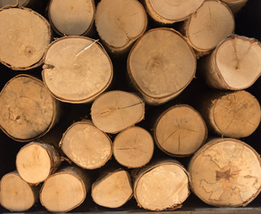 Fototapeta premium Stacked Wooden Logs