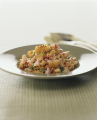 Gourmet Macaroni and Cheese