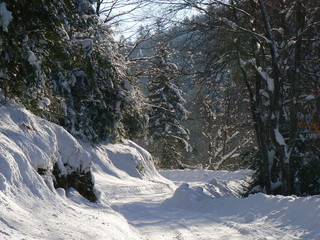 Neige dans les Alpes - Snow in the Alps (Vercors), France